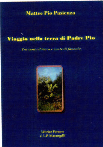 varie_Cop_libro_Pazienza